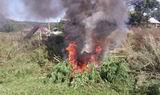 Всю найденную в районе села Первомайское коноплю скосили и сожгли