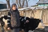 Елена Пинаева, занявшись разведением крупного рогатого скота, почувствовала уверенность в завтрашнем дне