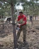 Глава района Владимир Мищенко спиливал сухие ветви деревьев