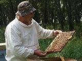 Сергей Немченко – пчеловод с 15-летним стажем