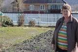 Соседские овцы вытоптали и съели почти весь урожай, который вырастила Валентина Шешунова