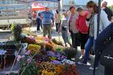 Гости из Арсеньева не только продавали цветы, но и давали советы по их выращиванию