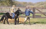 Катание на лошадях становится всё более популярным среди ханкайцев