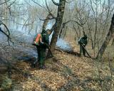 Для тушения лесных пожаров в Ханкайский район прибыли специалисты «Приморской авиабазы»