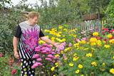 Любовь Верховская: Цветы, как несмышлёные дети, нуждаются в заботе и внимании