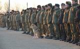 Любимица военнослужащих собака Рита наравне со всеми заняла своё место в строю