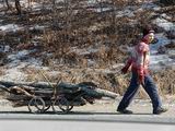 Машина дров стоит несколько тысяч рублей, так что новый закон сэкономит деньги сельчанам и дачникам, готовым самостоятельно идти «по дрова»