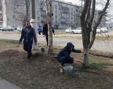 Юные ханкайские волонтёры побелили деревья на улицах Пионерской и 50 лет ВЛКСМ