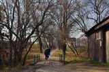 В этом году в рамках программы «1000 дворов» планируется заасфальтировать участок тополиной аллеи вдоль улицы Трактовой в Камень-Рыболове