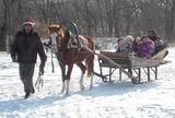 Дети с удовольствием катались на санях, которые везла лошадка жителя села Валентина Федосова
