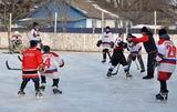 16 января юные хоккеисты из Октябрьского побывали в гостях у Троицкой команды, где провели товарищеский матч