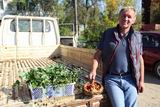 Виктор Байкалов из Камень-Рыболова продавал рассаду клубники. Круглый год он выращивает её для внучки прямо на окнах