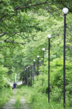 Парковые светильники, установленные вдоль дорожек, служат украшением и обеспечивают комфортные условия для прогулок