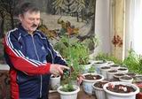 Ханкайский садовод Фёдор Китриш увлекается разведением плетистых роз