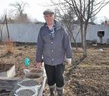 Цветовод со стажем Юрий Давыдов: Скоро можно будет высаживать «зимующие» растения в открытый грунт