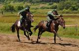 В состязании лошадей на резвость важны и выносливость животного, и тактика жокея