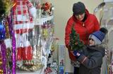 Жительница райцентра Татьяна Деменчук и её сын Арсений заранее позаботились о приобретении ёлочных украшений