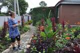 На своём приусадебном участке Ирина Бровкина выращивает разные сорта декоративных растений